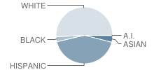 Tremont Elementary School Student Race Distribution