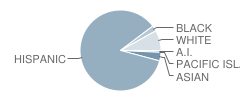 Griffiths Middle School Student Race Distribution