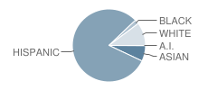 Rio San Gabriel Elementary School Student Race Distribution