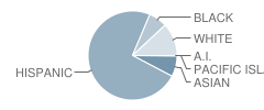 Duarte High School Student Race Distribution