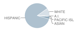 Mulberry Elementary School Student Race Distribution