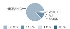Legore Elementary School Student Race Distribution