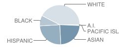 Elk Grove Elementary School Student Race Distribution