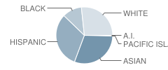 Maeola E. Beitzel Elementary School Student Race Distribution