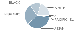 Raymond Case Elementary School Student Race Distribution