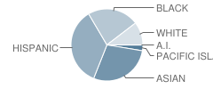 Isabelle Jackson Elementary School Student Race Distribution