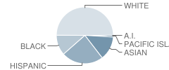 Foulks Ranch Elementary School Student Race Distribution