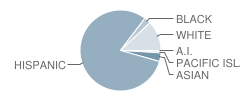 Del Dios Middle School Student Race Distribution