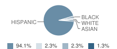 Lincoln School Student Race Distribution