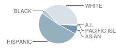 Miller Elementary School Student Race Distribution