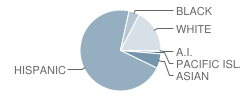 Orange Glen Elementary School Student Race Distribution