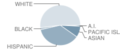 L. R. Green Elementary School Student Race Distribution