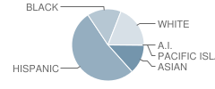 Cecilia Ucero Solorio Elementary School Student Race Distribution