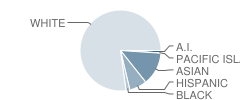 Olympus Junior High School Student Race Distribution