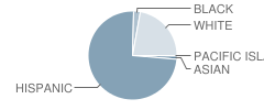 Maie Ellis Elementary School Student Race Distribution