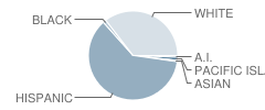 Live Oak Elementary School Student Race Distribution