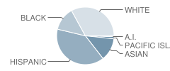 White Rock Elementary School Student Race Distribution