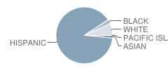 Palmetto Elementary School Student Race Distribution