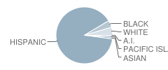 Harry S. Truman Middle School Student Race Distribution