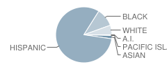 Almeria Middle School Student Race Distribution