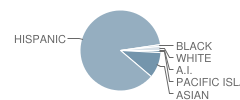 Mckinley Elementary School Student Race Distribution