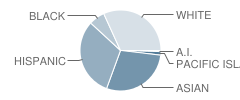 John F. Kennedy High School Student Race Distribution