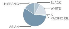 Oliveira Elementary School Student Race Distribution