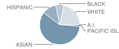 Thornton Junior High School Student Race Distribution