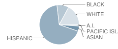 Addams Elementary School Student Race Distribution