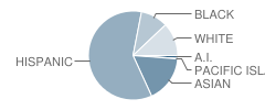 Centennial Elementary School Student Race Distribution