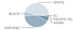 Eaton Elementary School Student Race Distribution