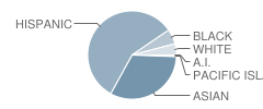 Ewing Elementary School Student Race Distribution