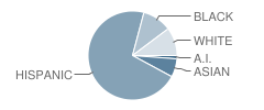 Fremont Elementary School Student Race Distribution