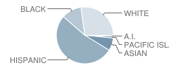 Kratt Elementary School Student Race Distribution