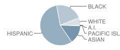 Ayer Elementary School Student Race Distribution