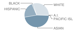 Troy High School Student Race Distribution