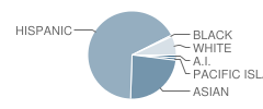 Mabel Carver Elementary School Student Race Distribution