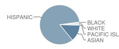 Dwight D. Eisenhower Elementary School Student Race Distribution