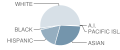 Patton Elementary School Student Race Distribution