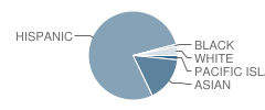 Riverdale Elementary School Student Race Distribution