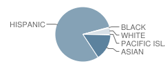 Santiago High School Student Race Distribution