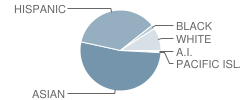 Stanford Elementary School Student Race Distribution