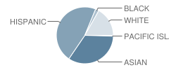 Agnes Ware Stanley Elementary School Student Race Distribution