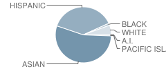 Sunnyside Elementary School Student Race Distribution