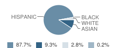 Skylark Elementary School Student Race Distribution
