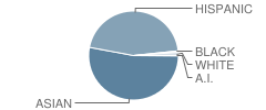 Bitely (Arlene) Elementary School Student Race Distribution