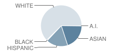 Abraham Lincoln Elementary School Student Race Distribution