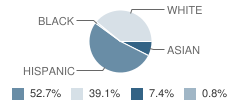 Horace Mann Elementary School Student Race Distribution