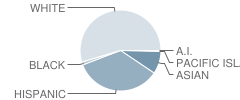 Sutherland Elementary School Student Race Distribution