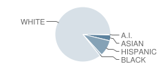 Hillcrest Middle School Student Race Distribution